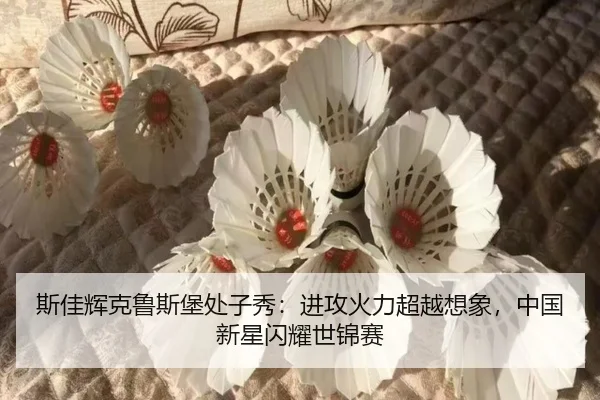 si-jia-hui-ke-lu-si-bao-chu-zi-xiu-jin-gong-huo-li-chao-yue-xiang-xiang-zhong-guo-xin-xing-shan-yao-shi-jin-sai-2-371.jpg